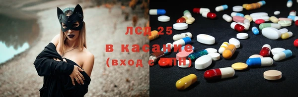 ECSTASY Богданович
