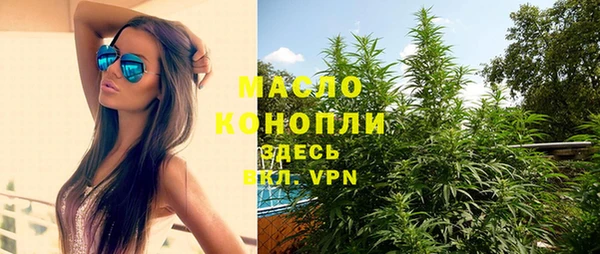 mix Богородицк