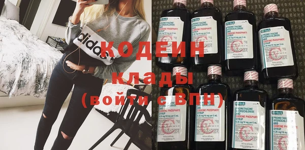 ECSTASY Богданович