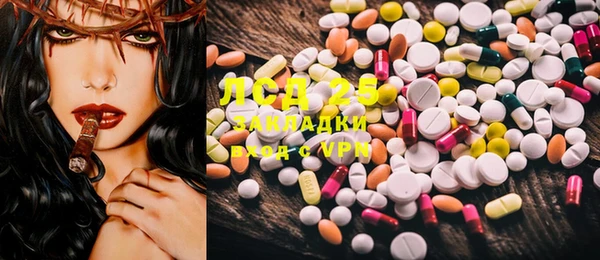 ECSTASY Богданович
