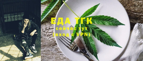 ECSTASY Богданович