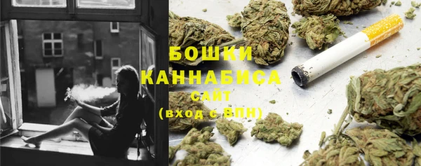 ECSTASY Богданович