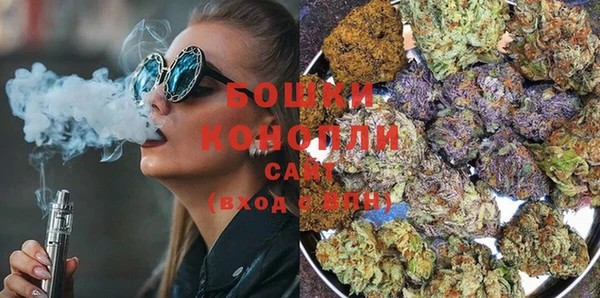 ECSTASY Богданович